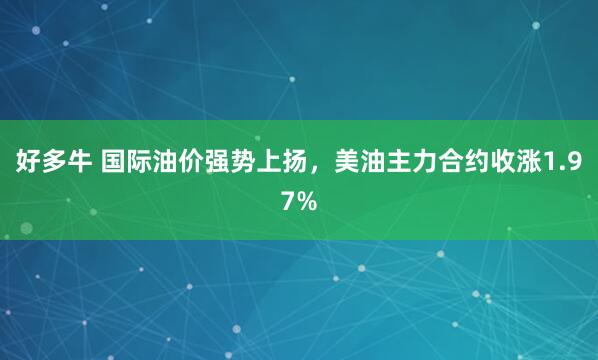 好多牛 国际油价强势上扬，美油主力合约收涨1.97%