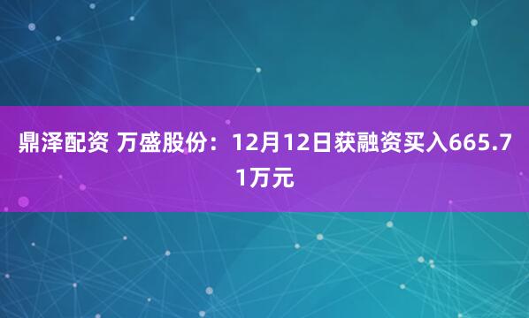 鼎泽配资 万盛股份：12月12日获融资买入665.71万元